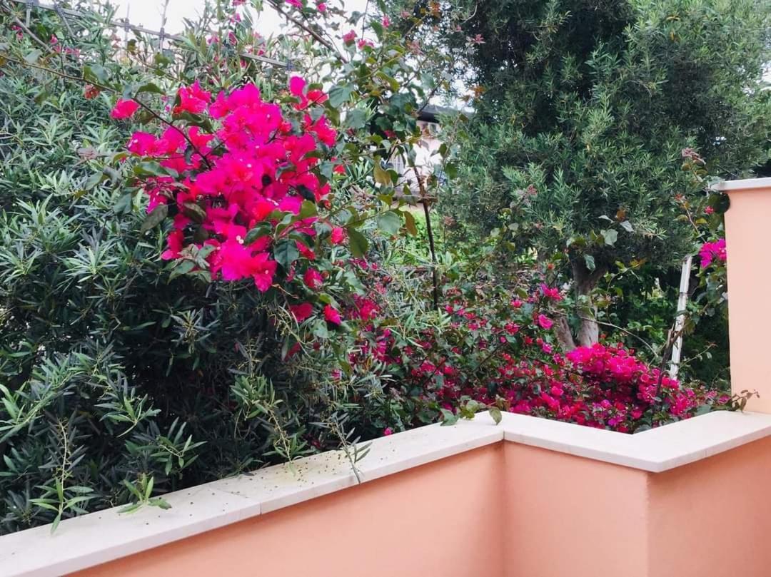 B & B Jasmine Санта-Тереза-ди-Рива Экстерьер фото